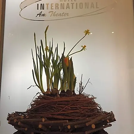 International Am Theater