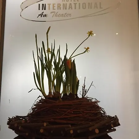 Otel International Am Theater 3*